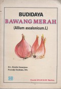 Budidaya Bawang Merah