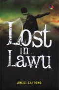 Lost in Lawu